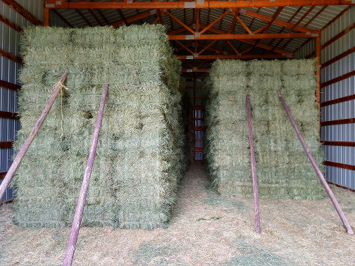 2018 Hay in Barn